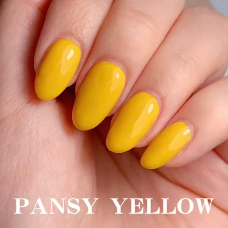 OP-02 パンジーイエロー